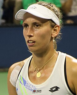 埃莉斯·梅尔滕斯